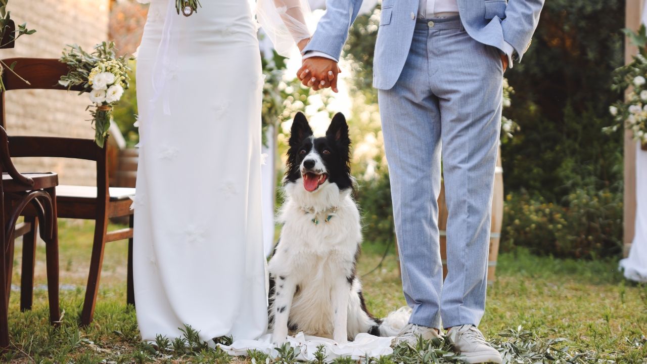 Planeador de bodas