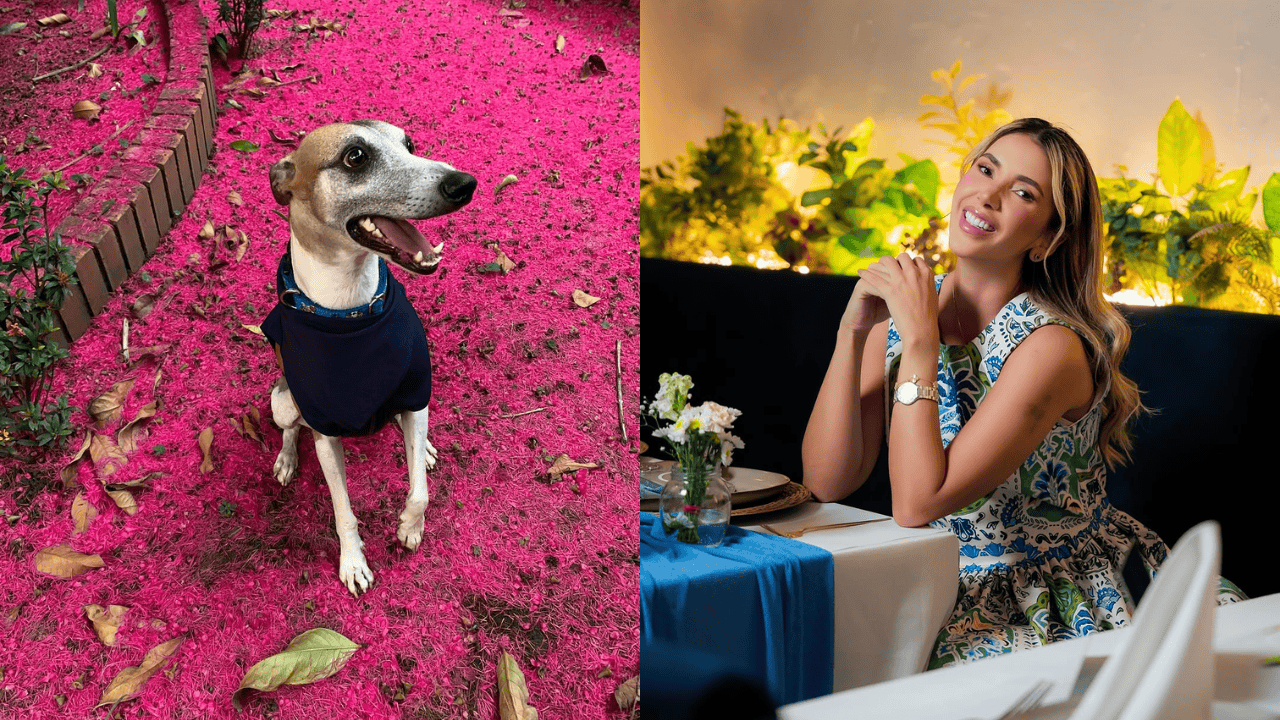 Izquierda: perro de Copetrán. Derecha: Dayana Jaimes