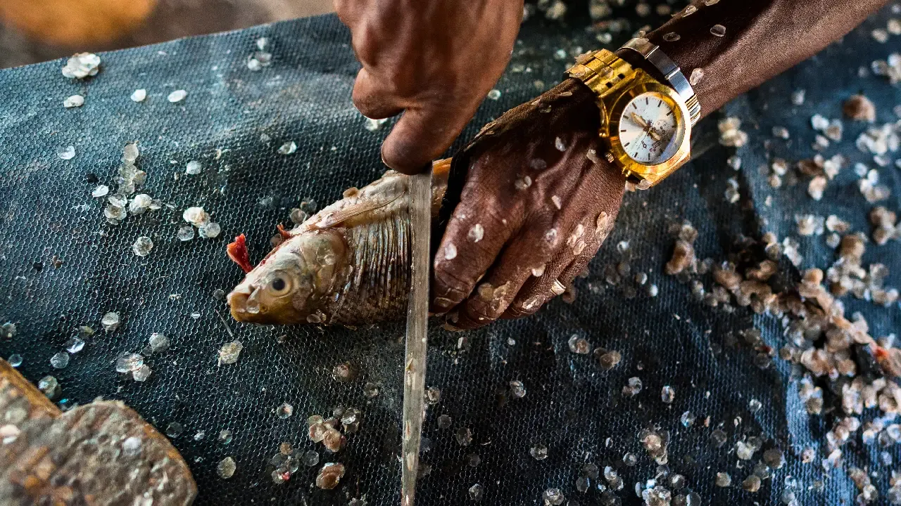 pescado.webp