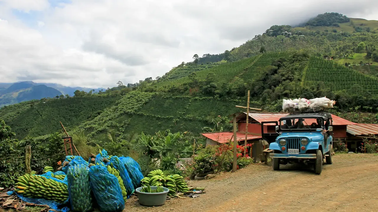 En la foto; Finca cefetera en Jardín, Antioquia. 