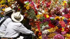 En la foto: Silleteros tradicionales con flores en medellín