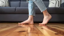 Pies.webp